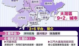 大湾区媒体爆料案例最新,揭秘新闻背后的真相与挑战
